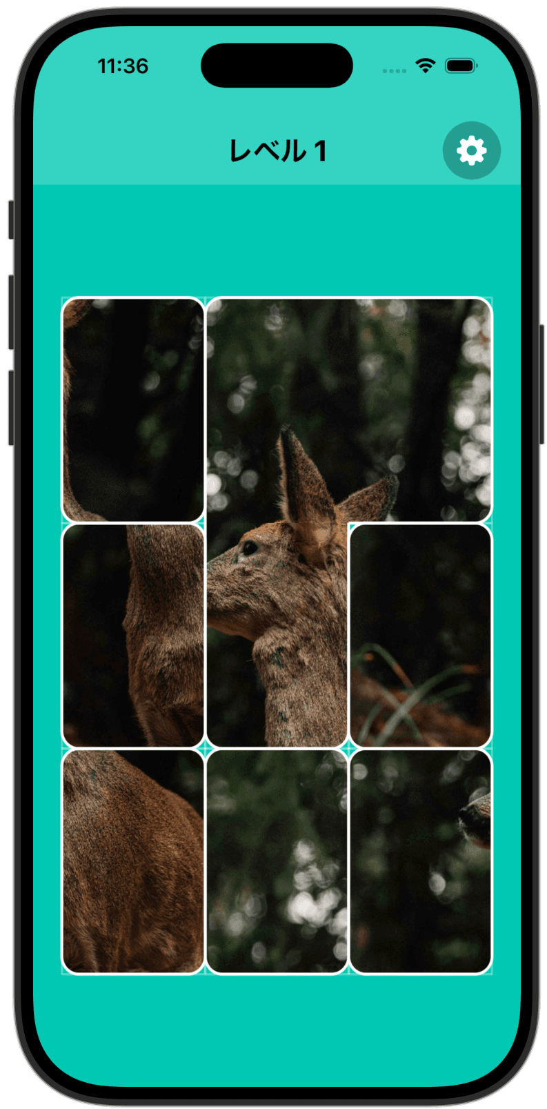 Swap Puzzle