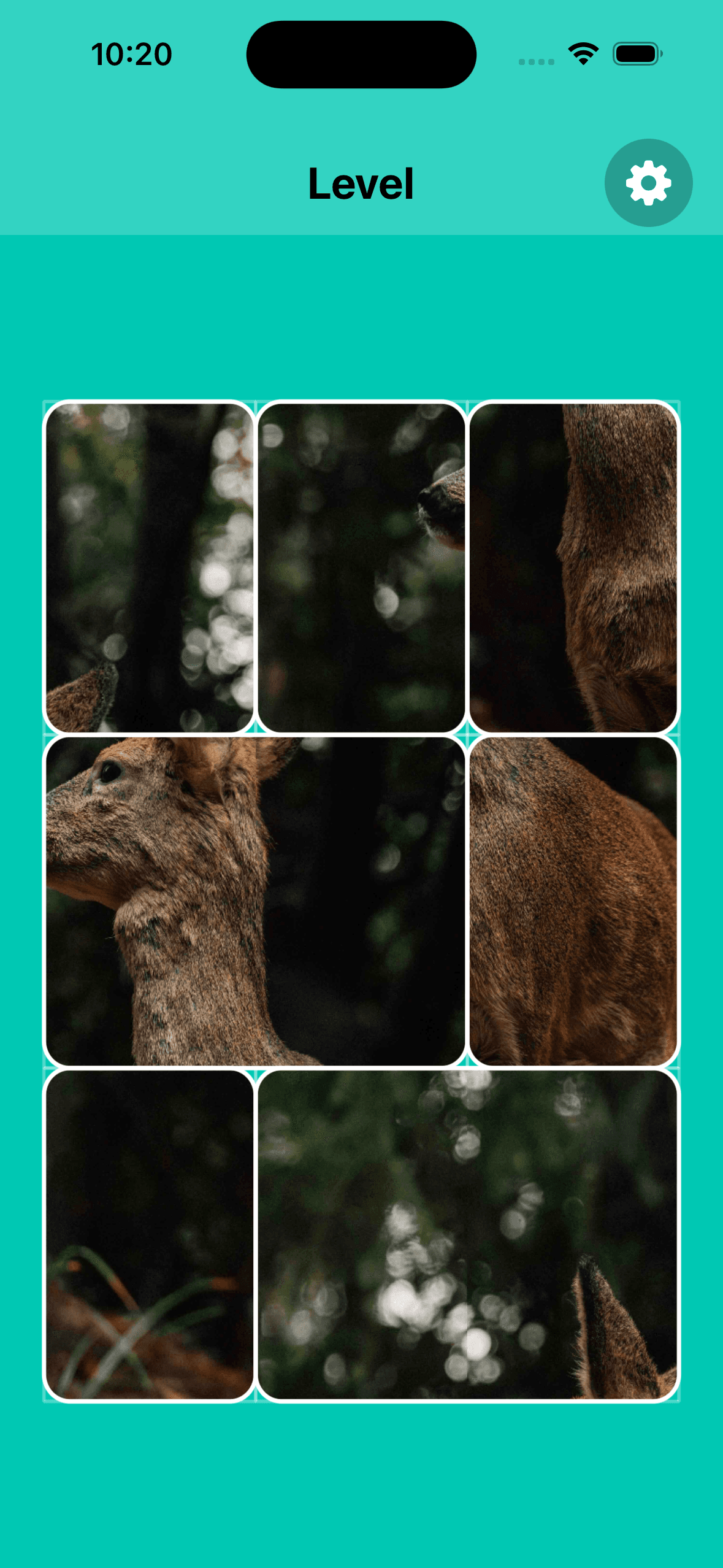 Swap Puzzle